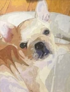 クリーム色のフレンチブルドッグを描いた完成作品