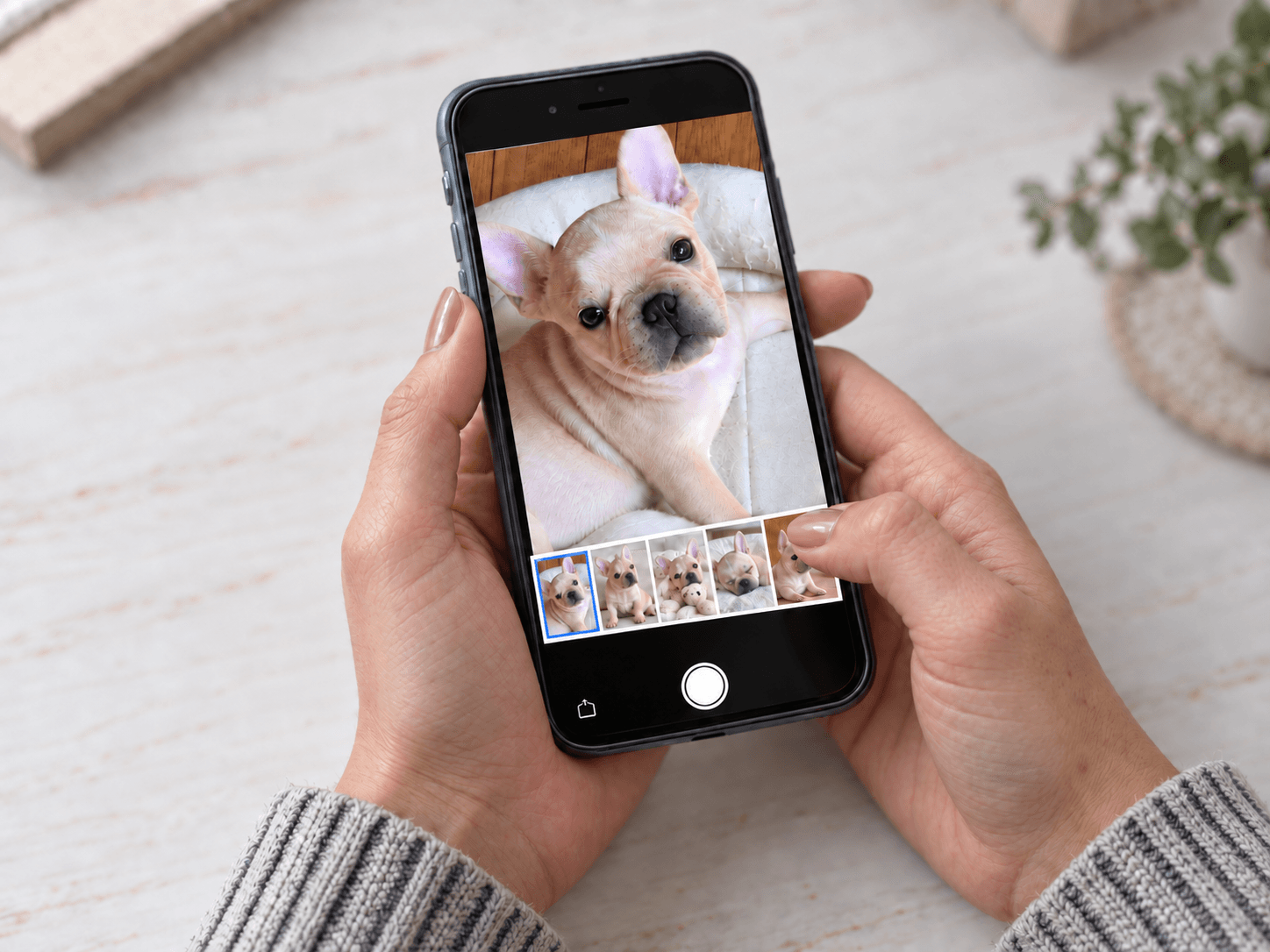 スマートフォンで絵にしたい写真を選ぶ様子